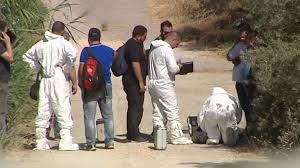 suzanne eaton II 7.13.2019