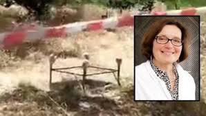 Suzanne Eaton IV 7.15.2019