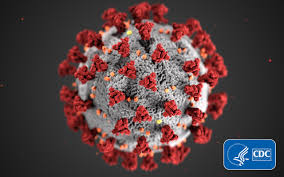coronavirus surveillance II 3.19.2020