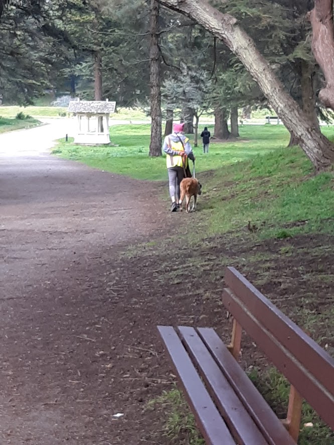 Suddued II 3.29.2020.jpg