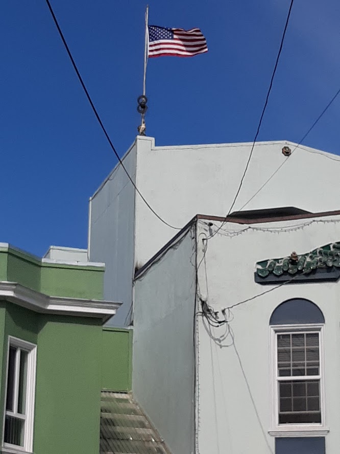 Liz in the House II 4.25.2020.jpg