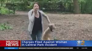 Central Park incident II 7.6.2020