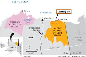 alaska wildlife refuge IV 8.17.2020.jpg