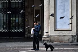 German dog rules III 8.19.2020