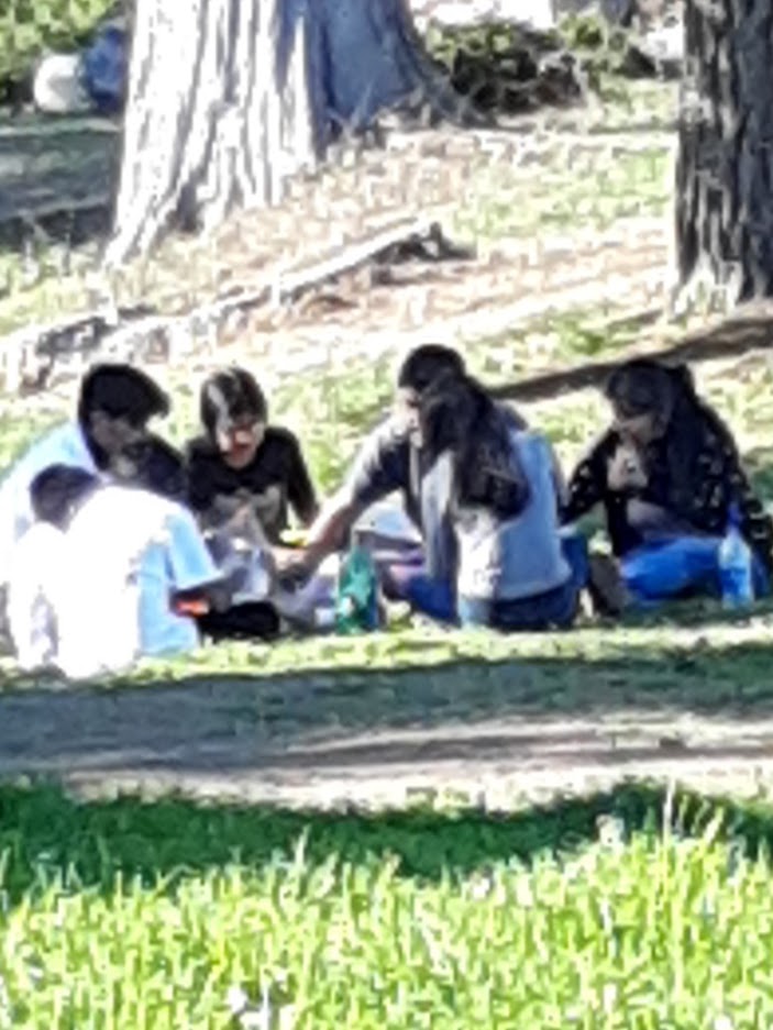 Shelter in Place I 8.15.2020.jpg