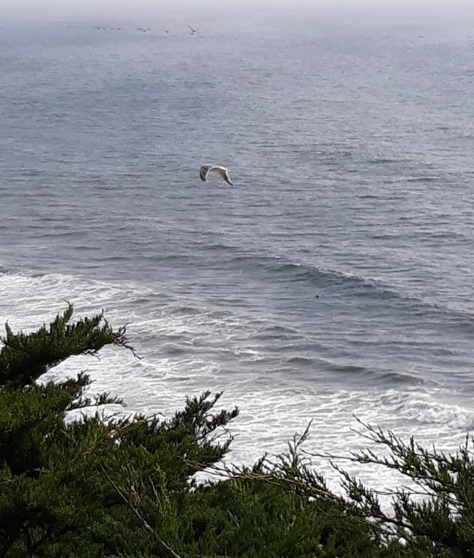 Worlds Edge IV 8.8.2020