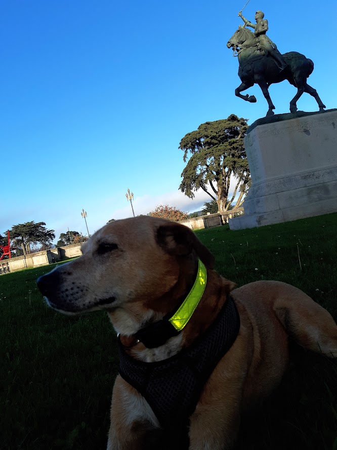 Legion of Honor and Jack IV 9.23.2020
