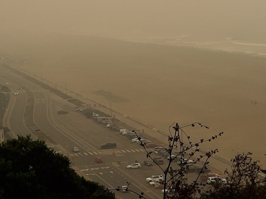 Sutro Park IV 9.10.2020