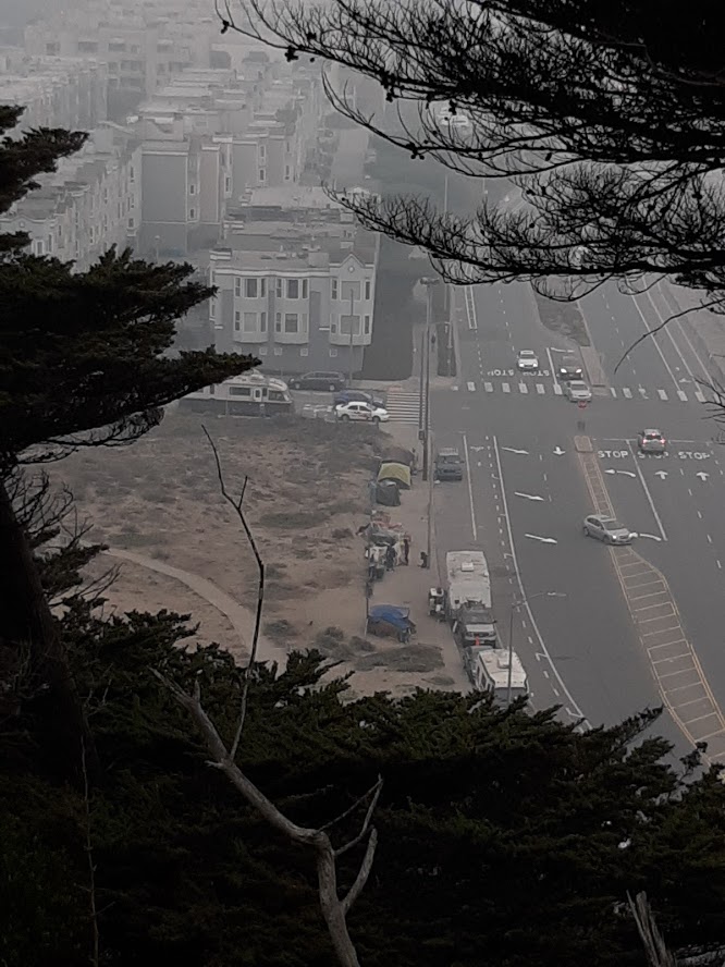 Sutro Park VIII 9.10.2020.jpg