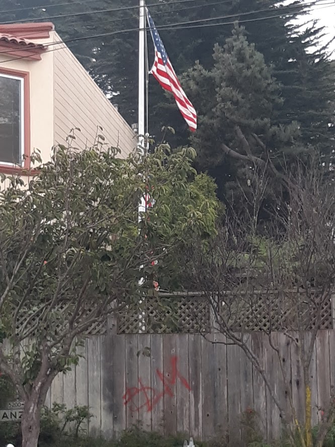 Sutro Park XIV 9.10.2020.jpg