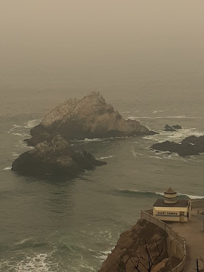 Sutro Park XVII 9.10.2020 (1).jpg