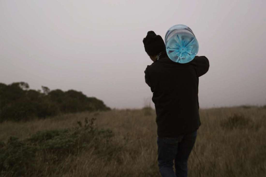 Tule Elk IV 9.1.2020.jpg