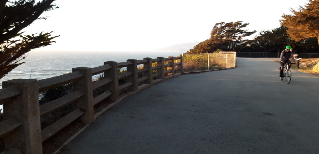 Sutro Park III 11.25.2020.jpg