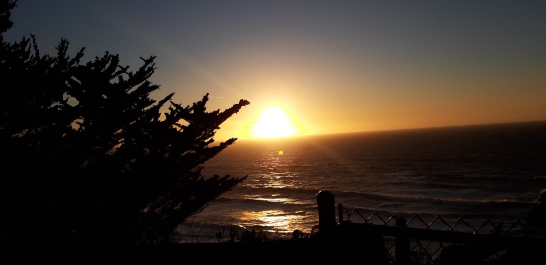 Sutro Park IV 11.25.2020