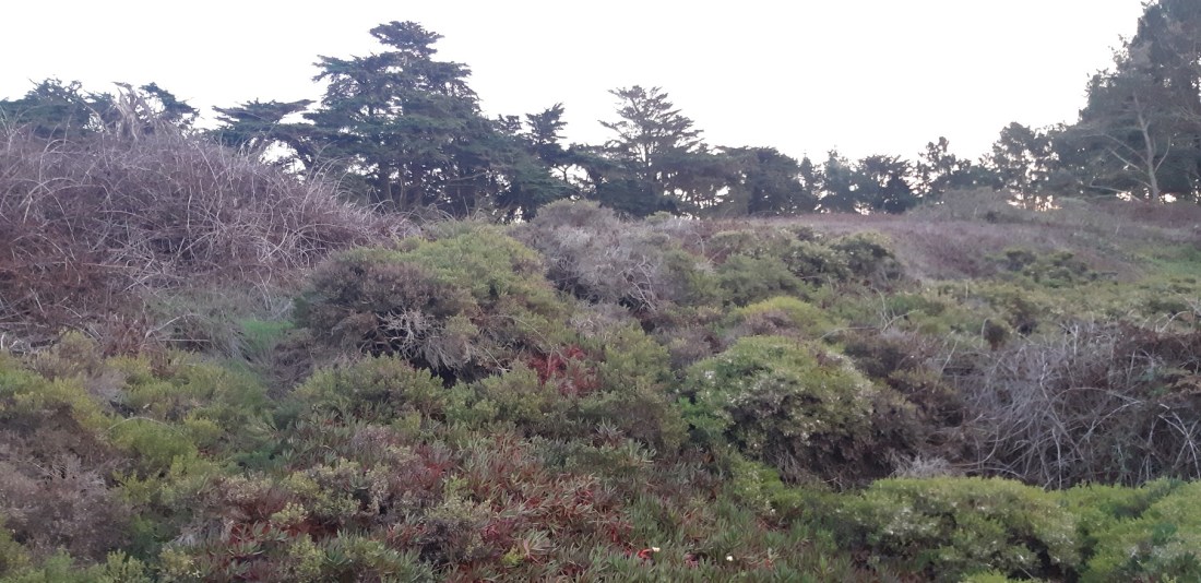 Behind the Museum II Field12.12.2020