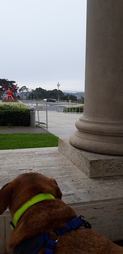 Legion of Honor I 12.25.2020.jpg