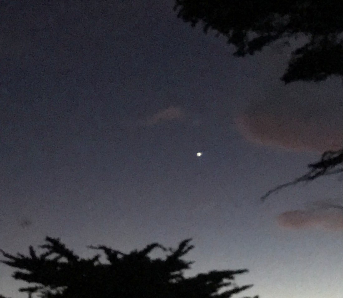 Star VIII 12.21.2020