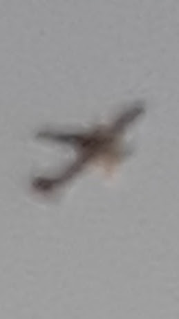 Winter scenes I 12.18.2020.jpg