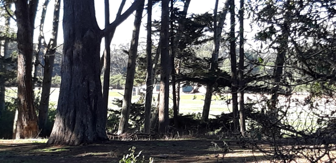 Winter scenes III 12.18.2020.jpg