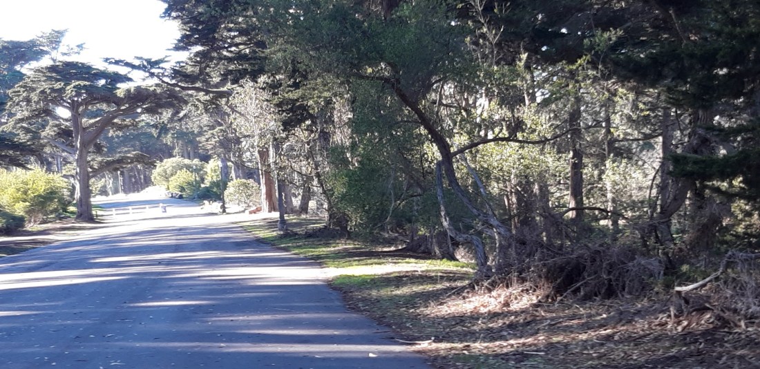 Winter scenes IV 12.18.2020