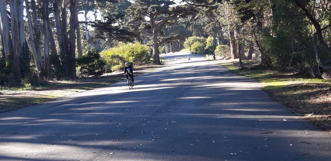 Winter scenes V 12.18.2020.jpg