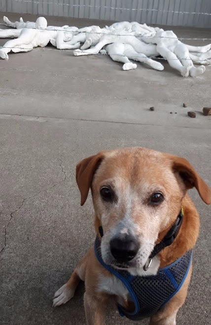 Winter scenes XIV 12.18.2020