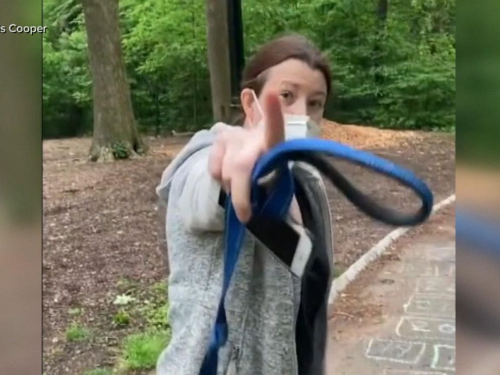 Central Park incident III 7.6.2020.jpg