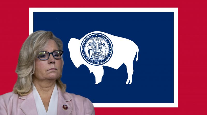 Liz Cheney II 5.11.2021.jpg