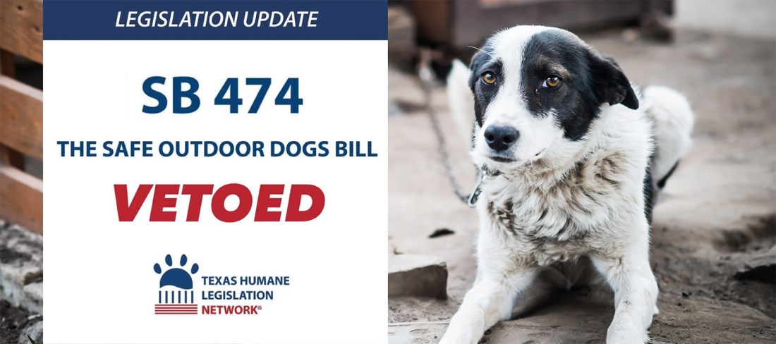 Texas dog veto II 6.22.2021.jpg