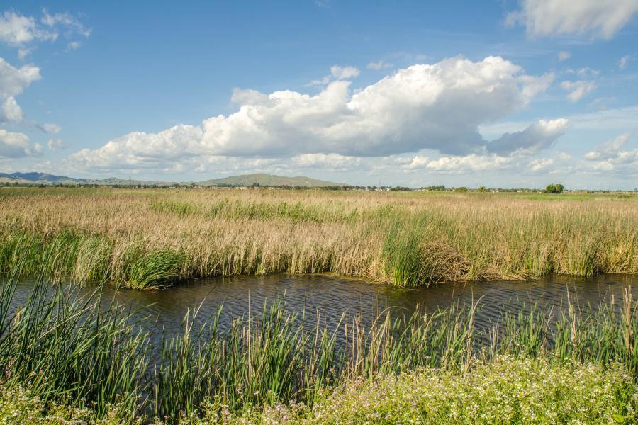 Suisun Bay III 12.6.2021