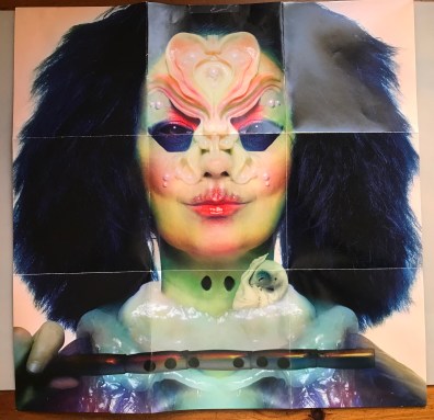 13 Bjork.jpg