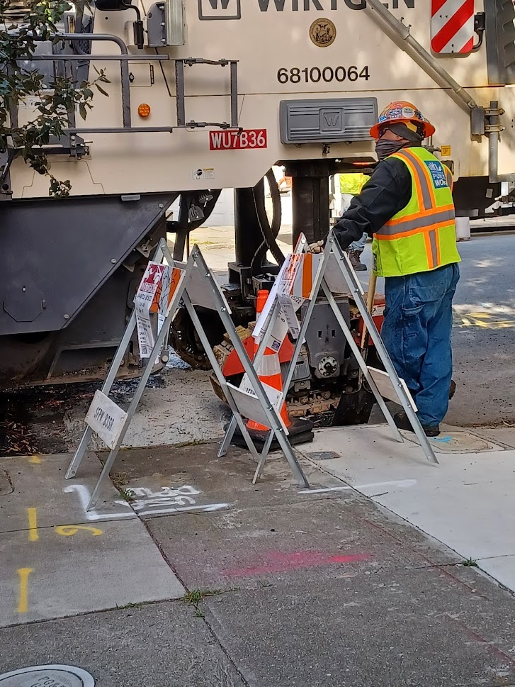 41 DPW Street Tree and DPW crew 4.1.2022.jpg