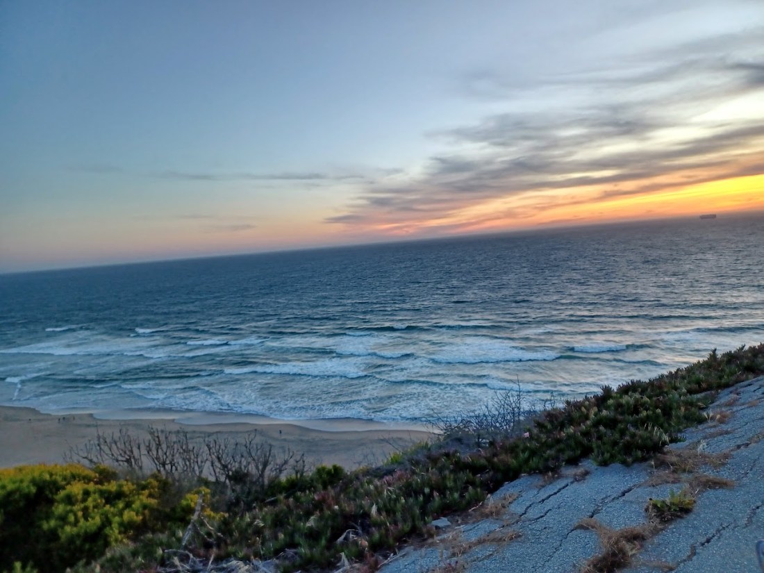 2 Sutro Park 6.7.2022.jpg