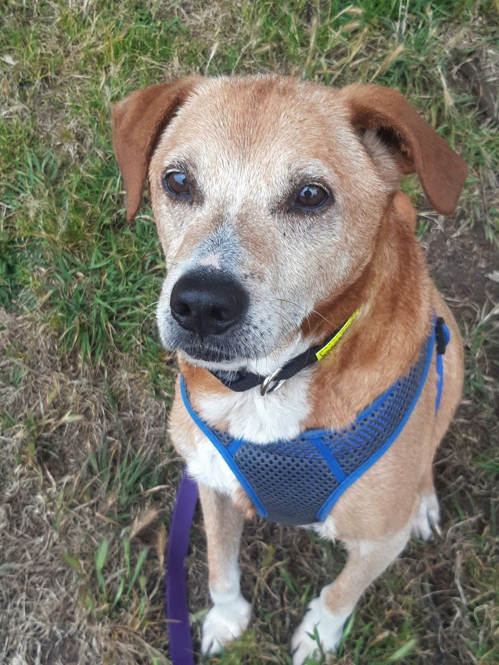 Jack XV May 2020.jpg