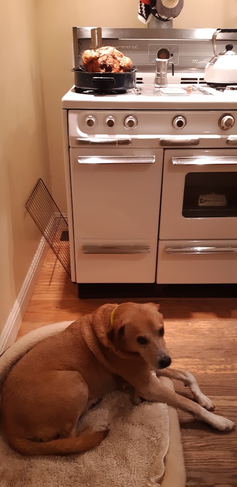 Jack XXV November 2, 2020.jpg