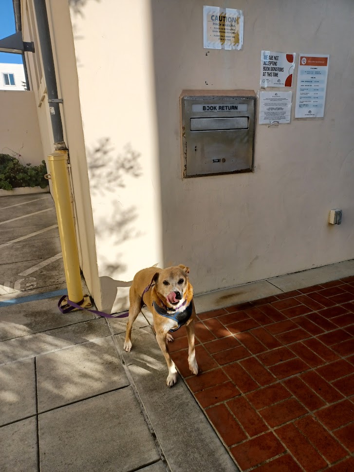 Jack XXXXXIX November 3, 2021.jpg