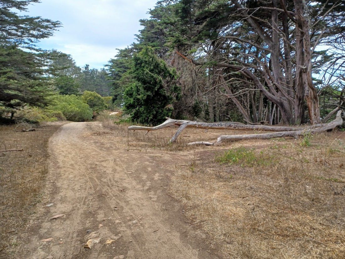 14 Coastal Trail.jpg