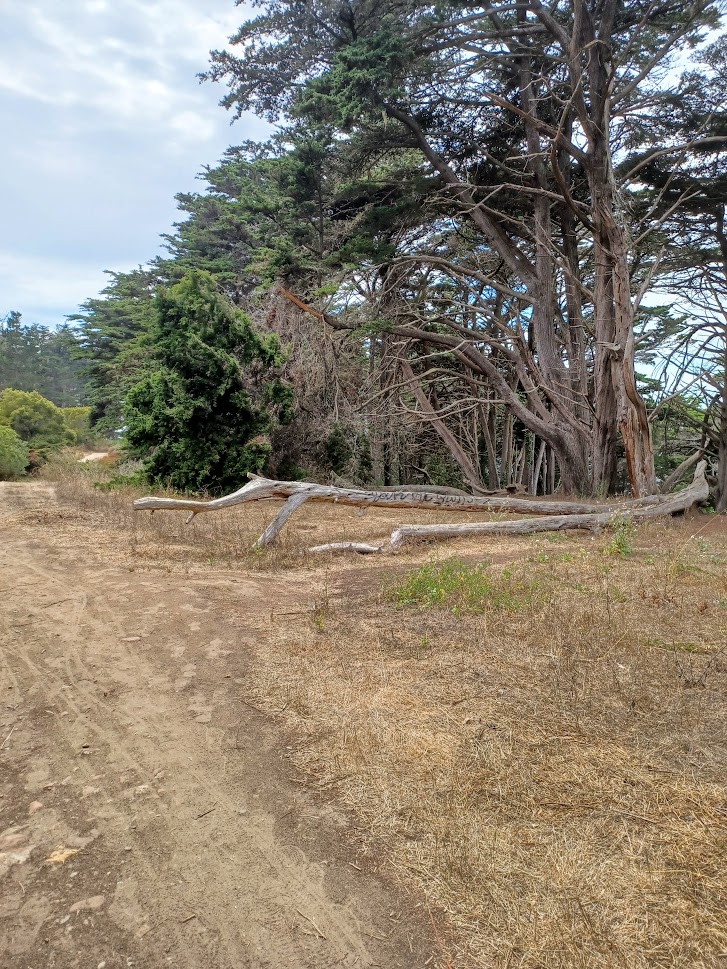 15 Coastal Trail.jpg