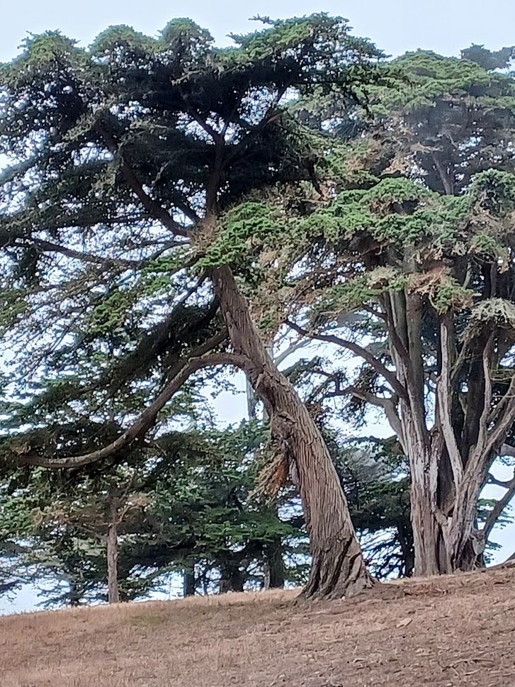 27 Coastal Trail.jpg