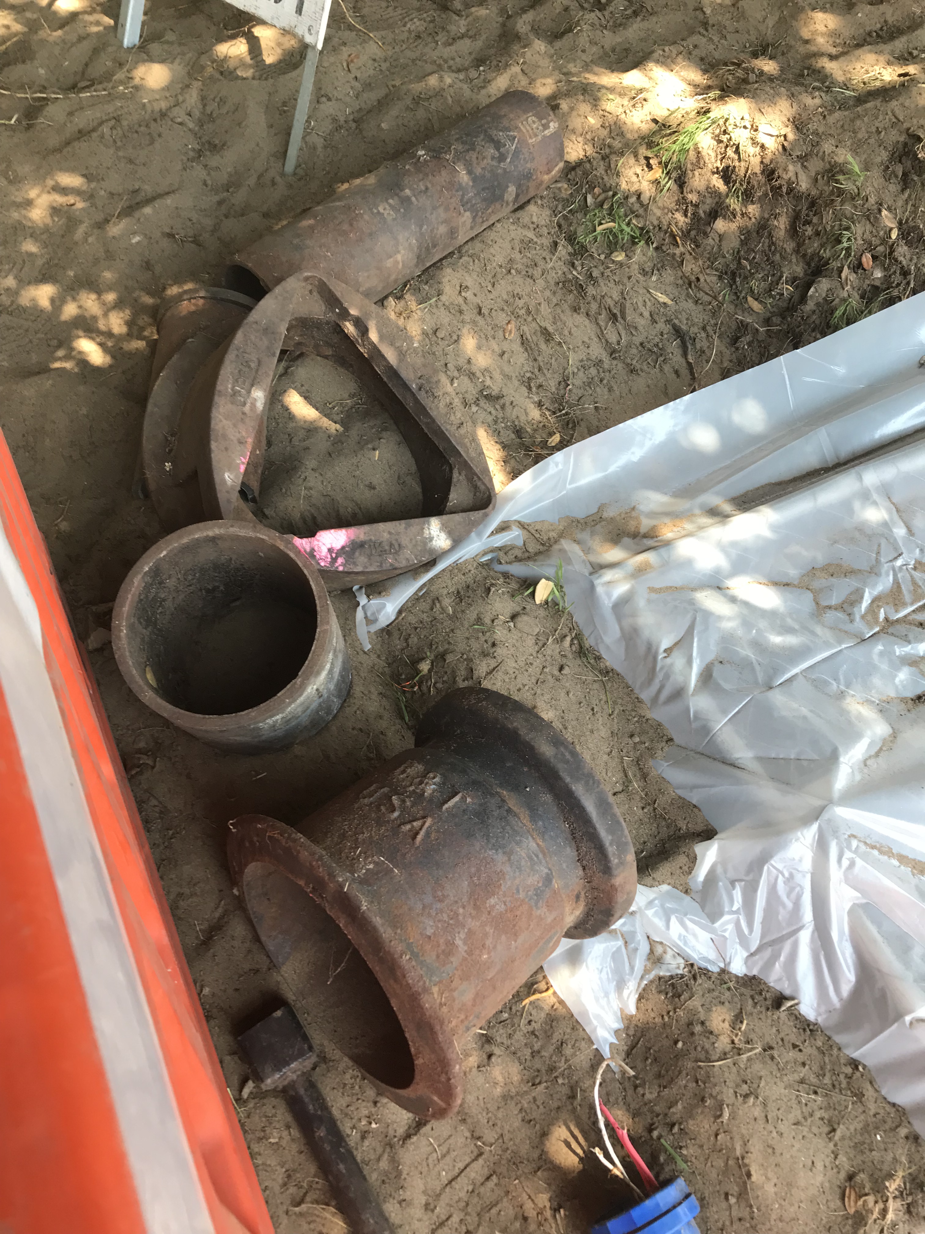 28 Clement Street tree.jpg