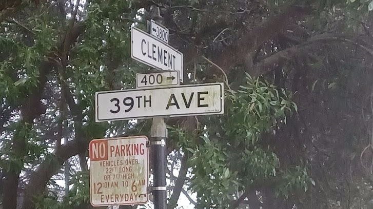 5 Clement Street tree