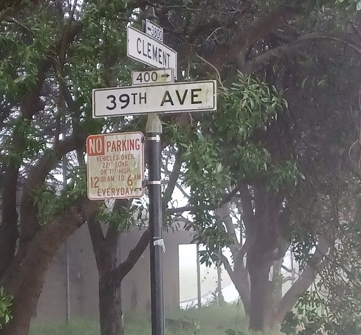 5 Clement Street tree